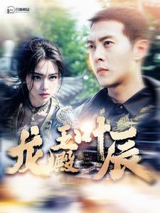 龙王殿叶辰第11集