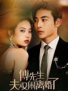 傅先生夫人又闹离婚了第09集