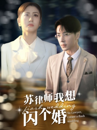 苏律师我想闪个婚第60集