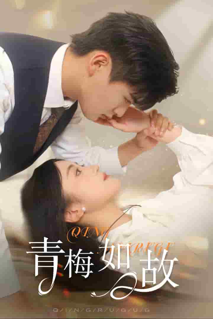 青梅如故第40集