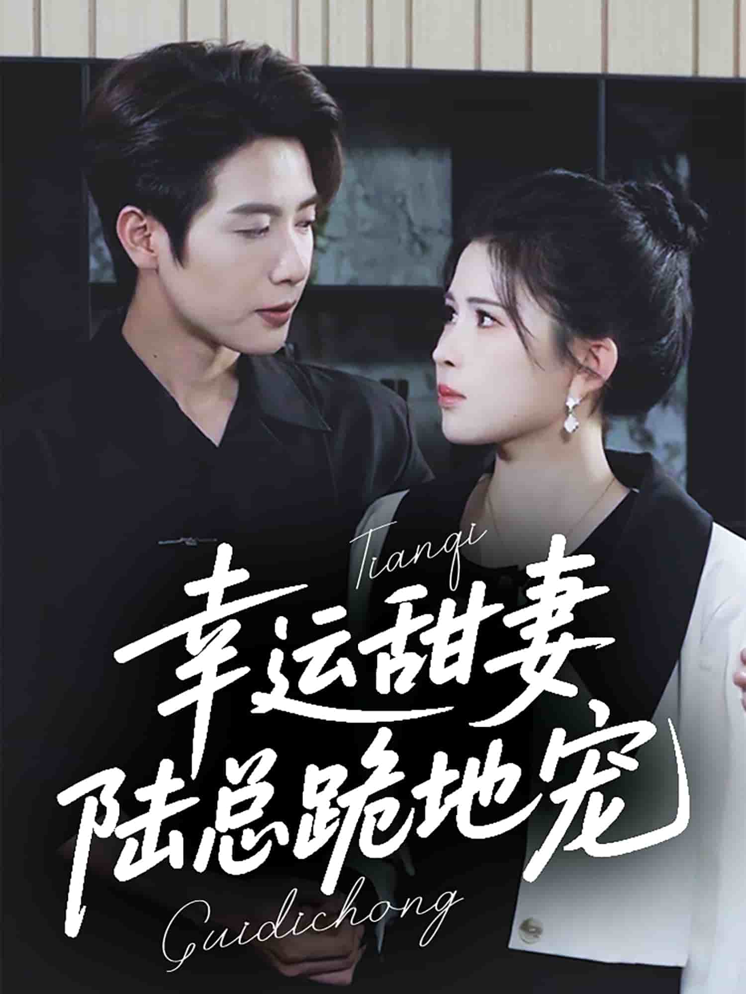 幸运甜妻，陆总跪地宠(全集)