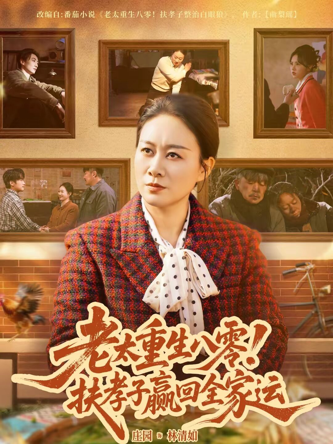 老太重生八零！扶孝子赢回全家运第01集