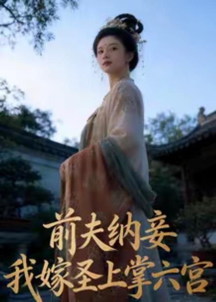 前夫纳妾，我嫁圣上掌六宫第01集