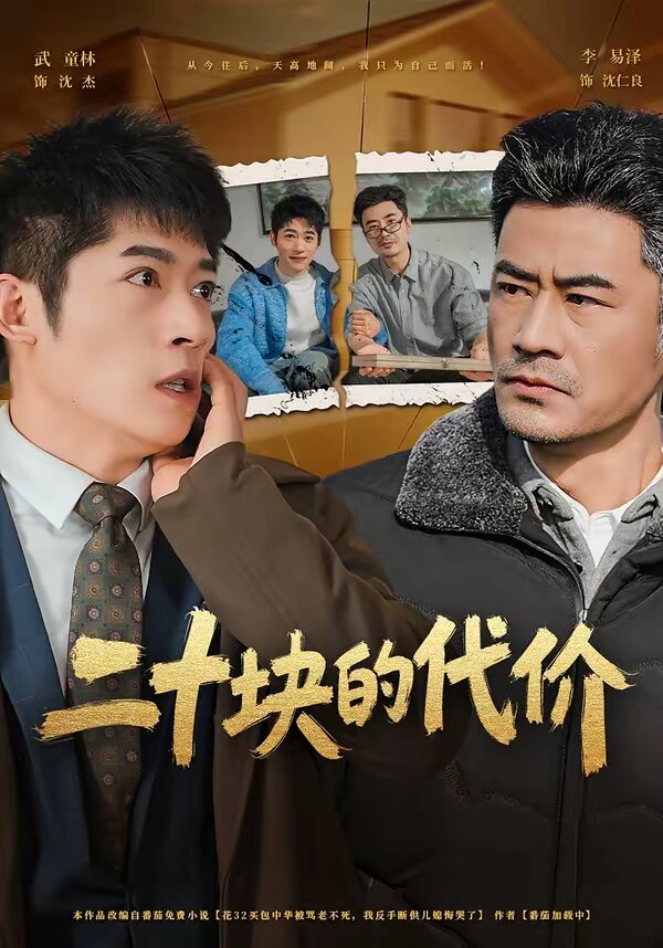 二十块的代价第12集