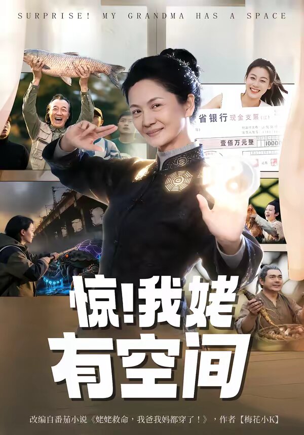 惊！我姥有空间第27集