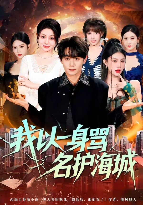我以一身骂名护海城第61集